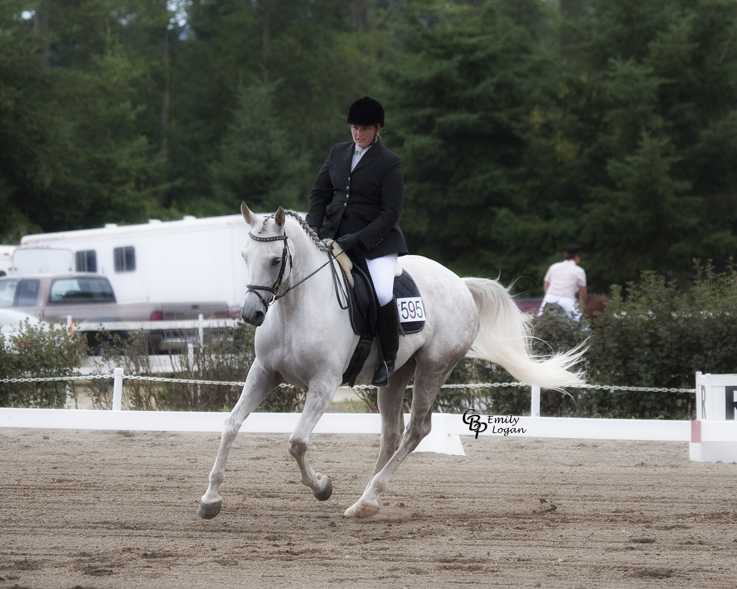 A show picture of Jädorin at the canter